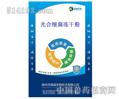 光合细菌冻干粉