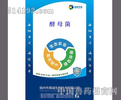 酵母菌
