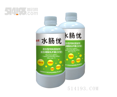 水肠优
