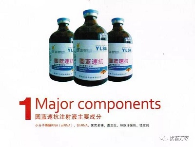 圆蓝速抗-预防和治疗蓝耳、圆环病毒，解除免疫抑制，让疫苗注射更**