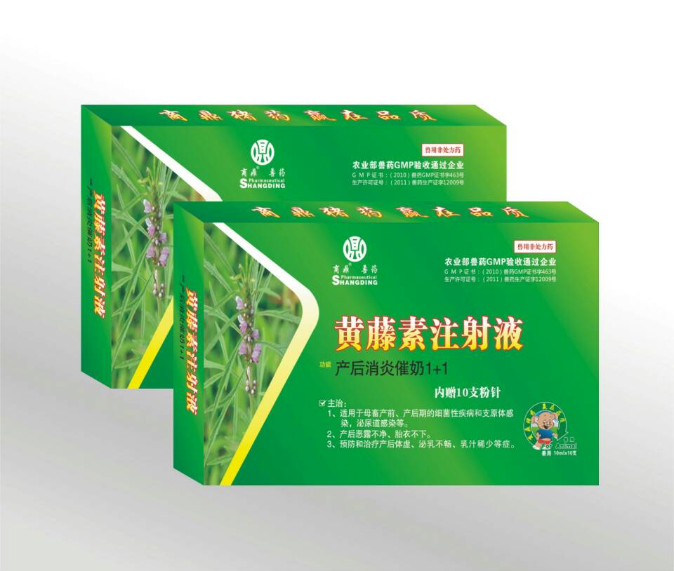 产后消炎催奶1+1