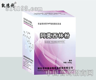 阿莫西林粉