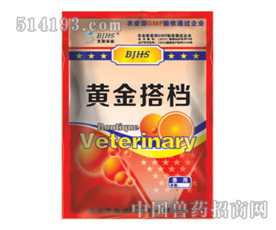 黄金搭档