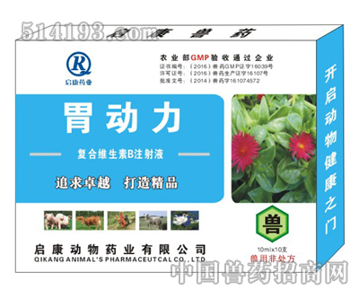 胃动力