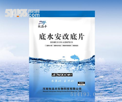 底水安改底片