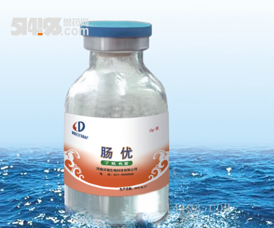 丁酸梭菌
