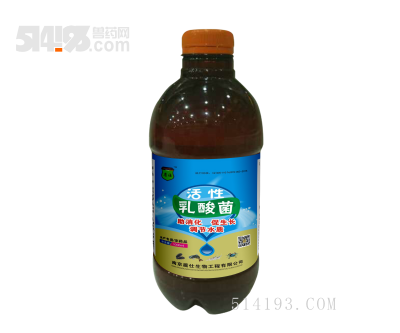 活性乳酸菌