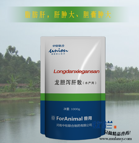 龙胆泻肝散