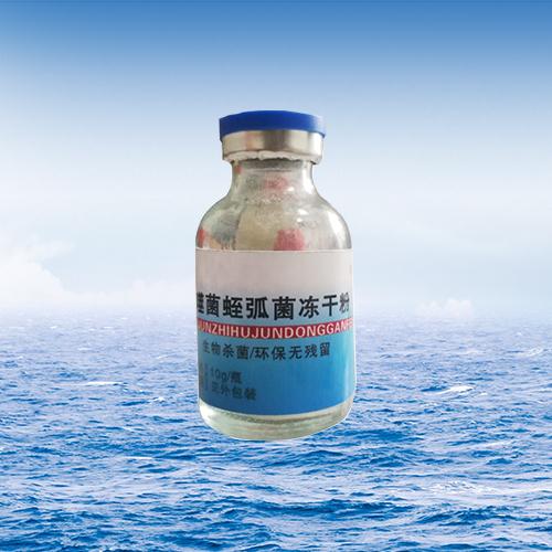   噬菌蛭弧菌冻干粉