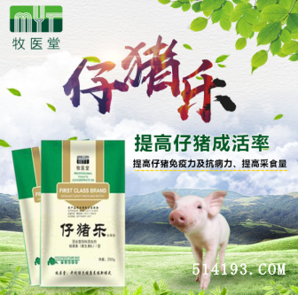 仔猪乐