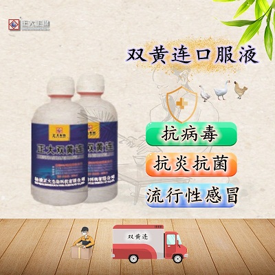 正大双黄连口服液