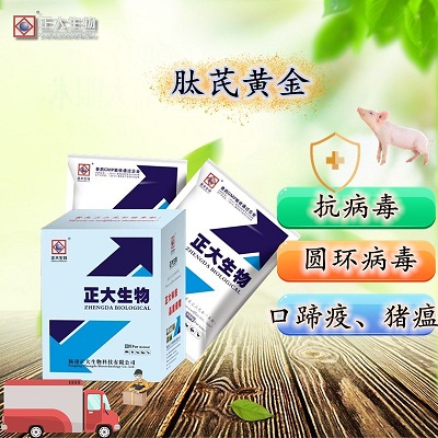 肽芪黄金