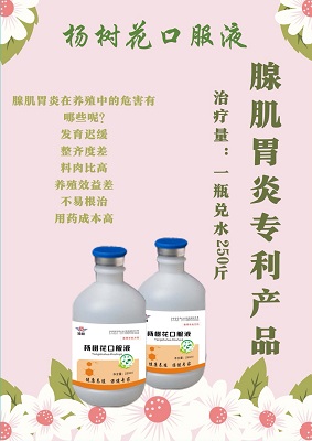 杨树花口服液——腺肌胃炎专利产品