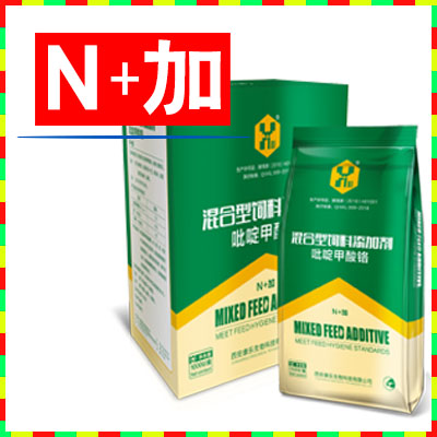 N+加