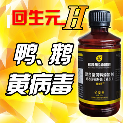 回生元H型-用于鹅黄病毒