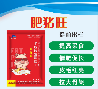 肥猪旺