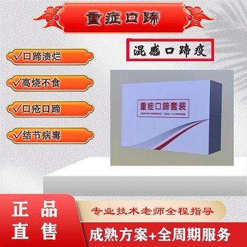 重症口蹄：猪牛羊口蹄、精神低沉、混感高热