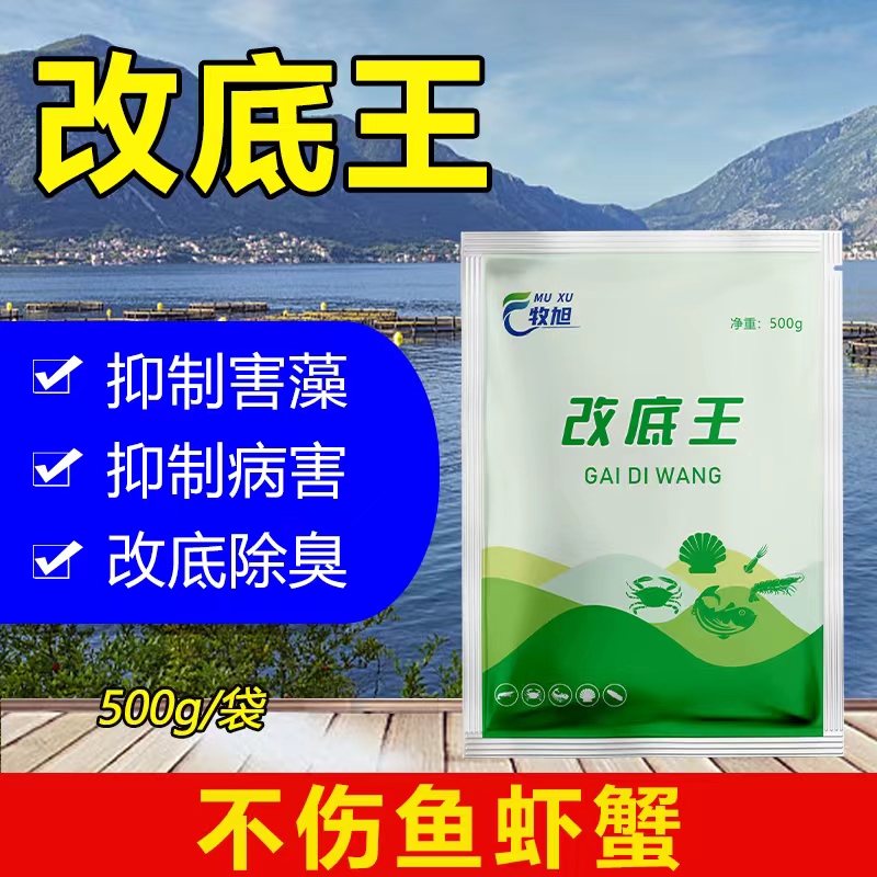 改底王